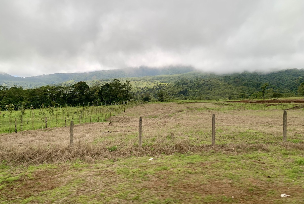null - ML657809167