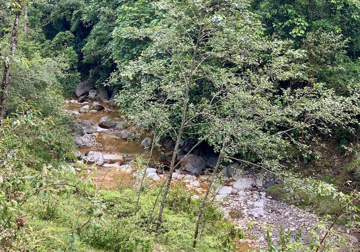 null - ML657809171