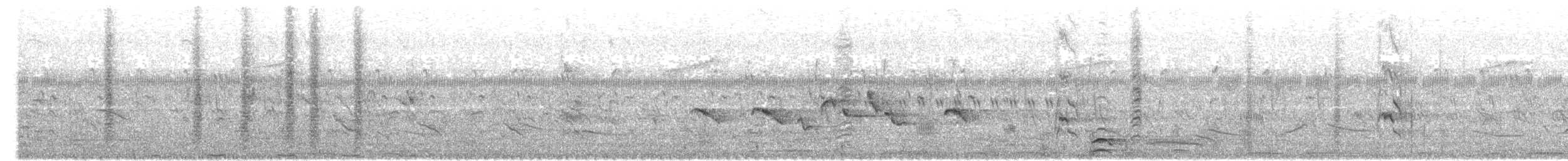 askesvalestær - ML657810884