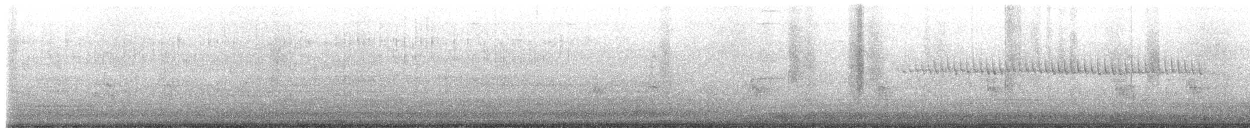 gulparula - ML657811465