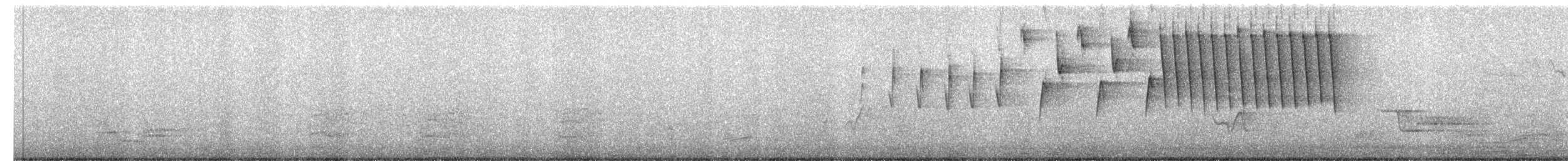 møllparula - ML657811499