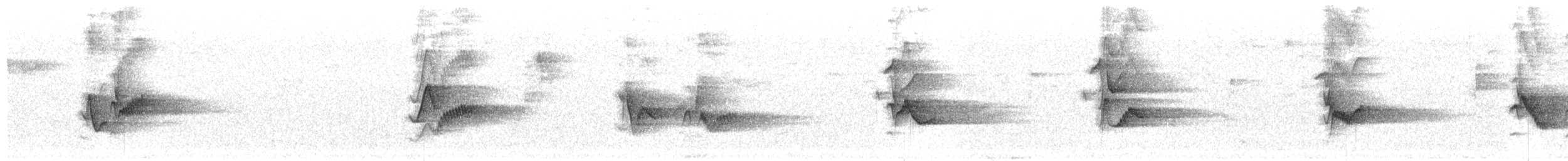 Cassin's Vireo - ML657812100