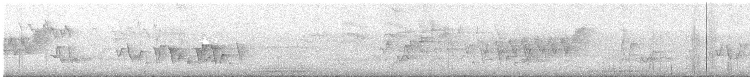 Connecticut Warbler - ML657813465