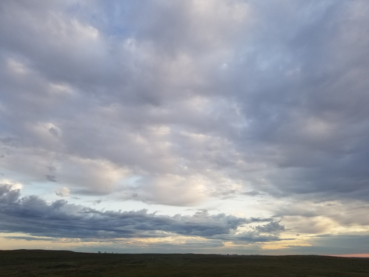 null - ML657825859
