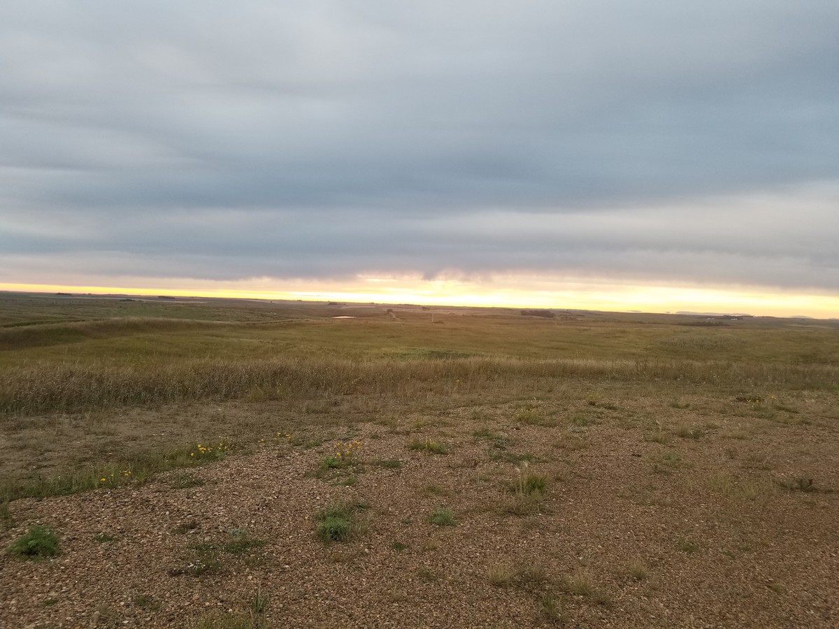null - ML657825860