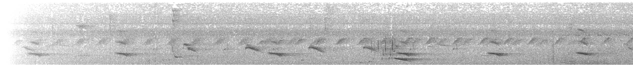 Channel-billed Toucan - ML657832268