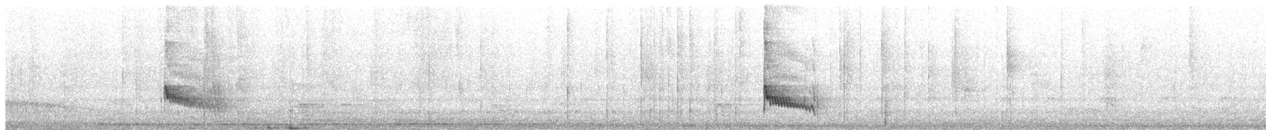 Spot-backed Antshrike - ML657841677