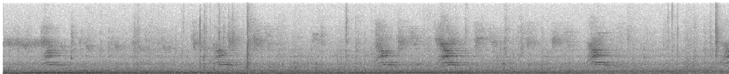 White-necked Thrush - ML657841907