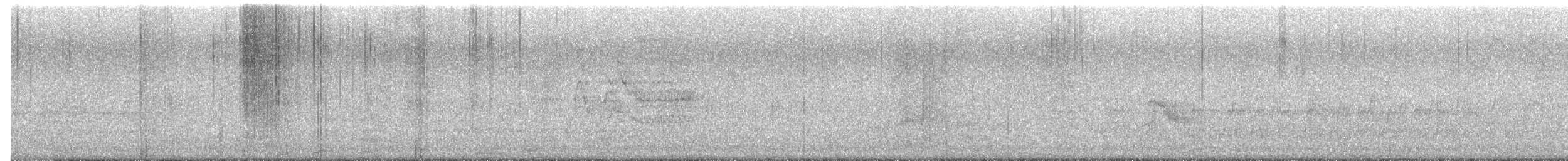 Gray-cheeked Thrush - ML657842019