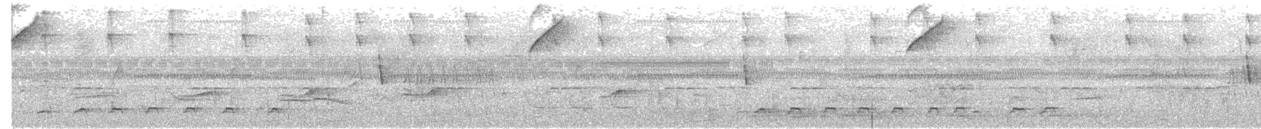 Wing-barred Piprites - ML657845158