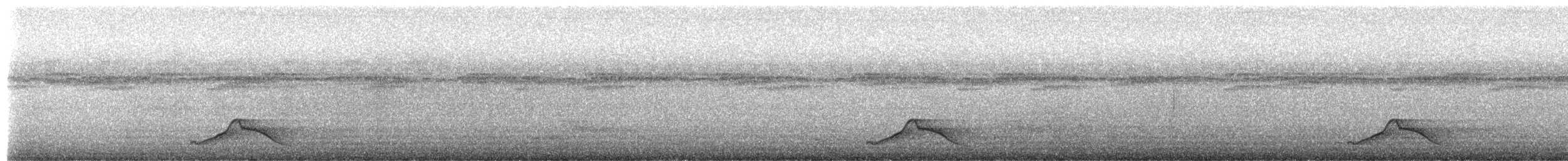 オオヨタカ - ML657854147