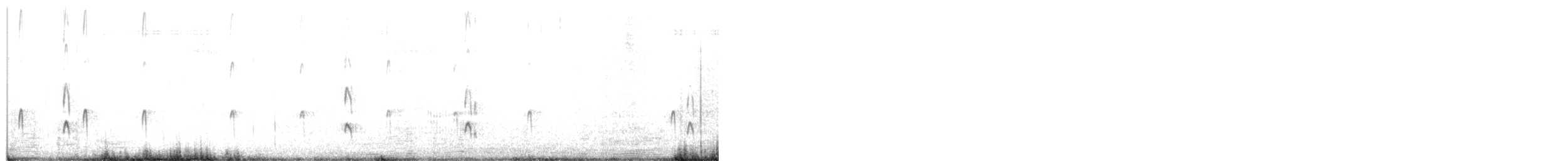 Chorlitejo Piquigrueso - ML657862979