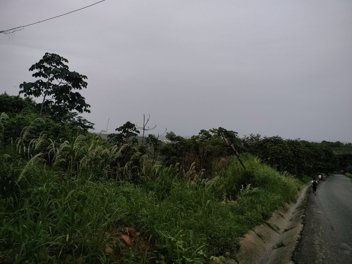 null - ML657864043