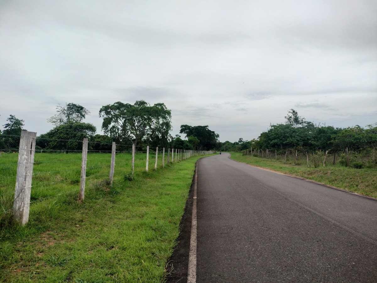 null - ML657864050