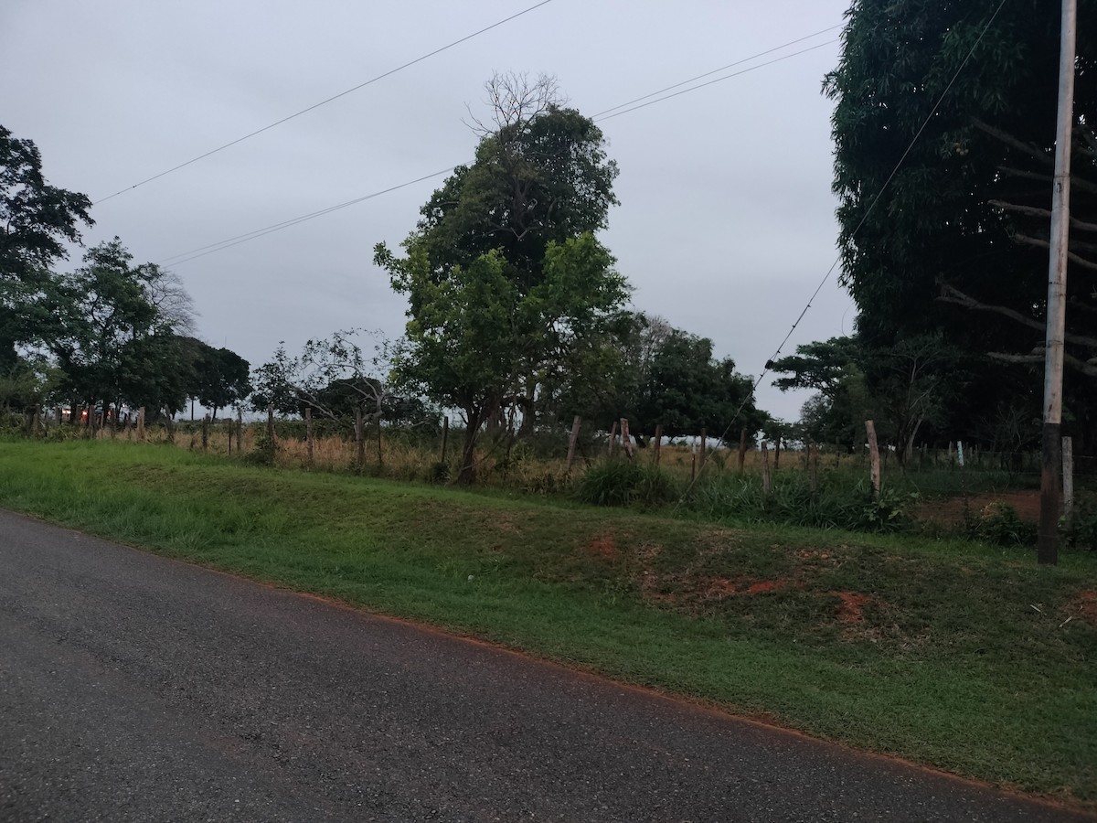 null - ML657864054