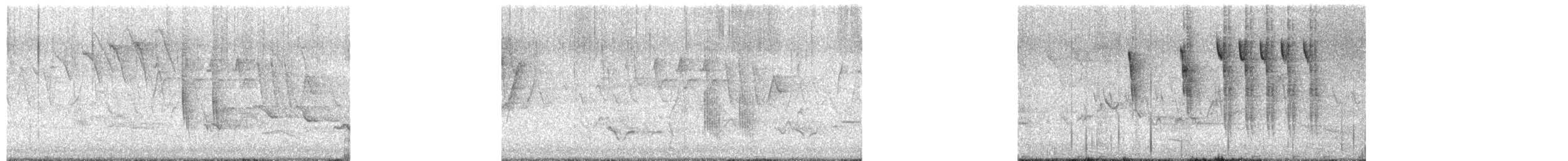 Sedge Wren - ML657871685