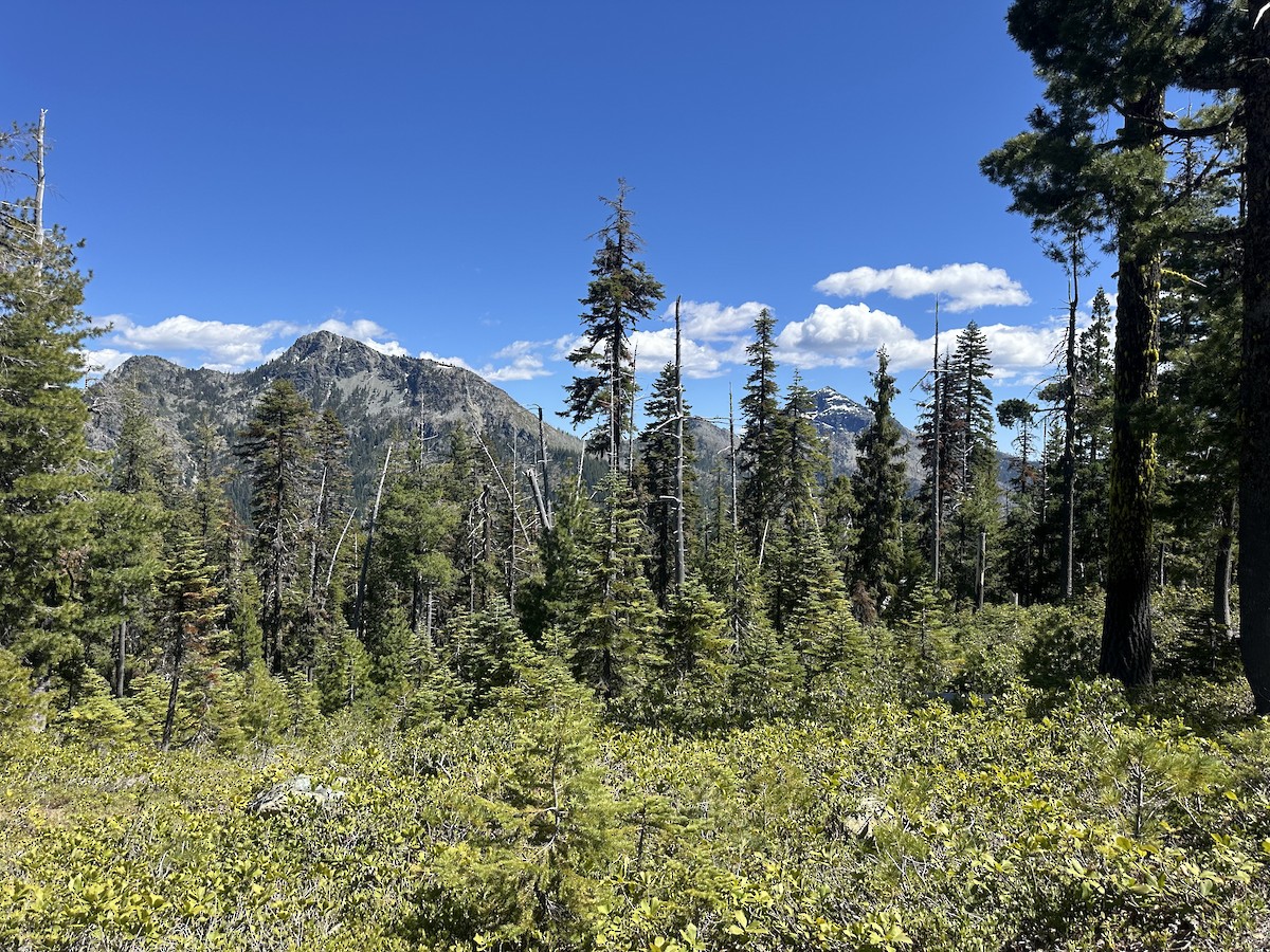null - ML657872403