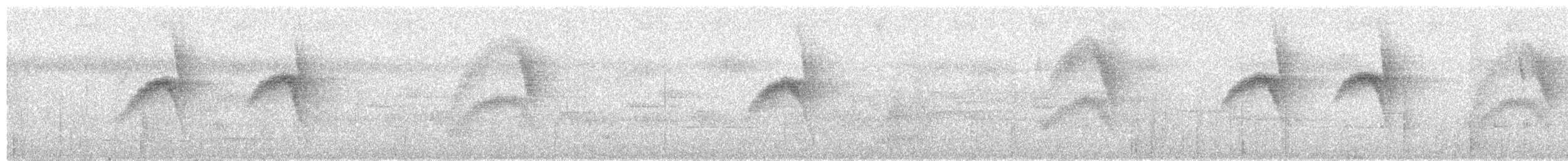 Brown-capped Vireo (Southern) - ML657883468