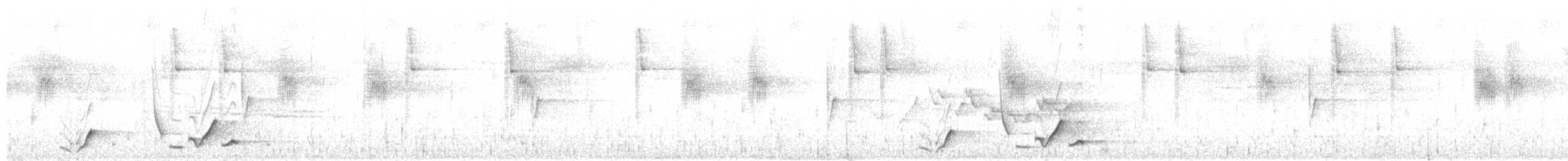 Plain-tailed Wren (Western) - ML657883490