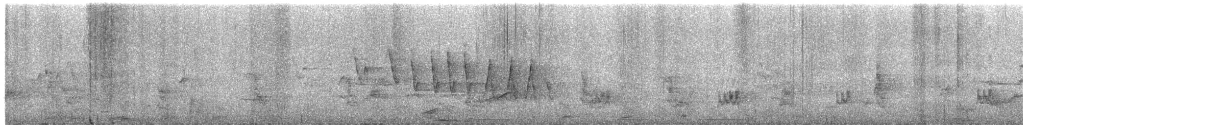 Northern Waterthrush - ML657894507