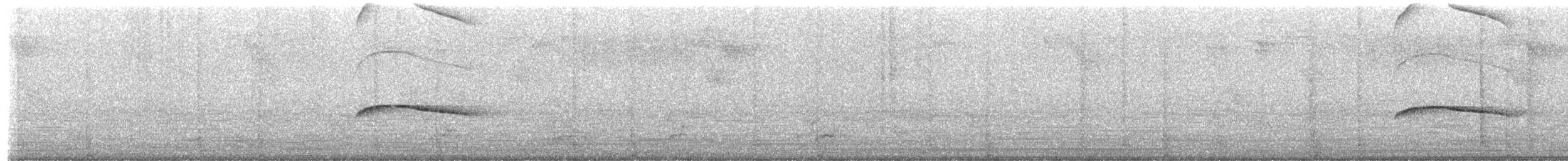 Puerto Rican Flycatcher - ML657894564