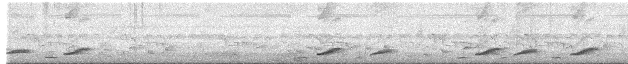 Taiwan Scimitar-Babbler - ML657894639