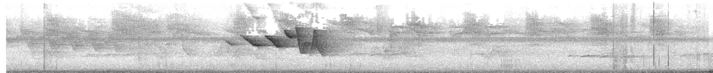 Swainson's Warbler - ML657894821