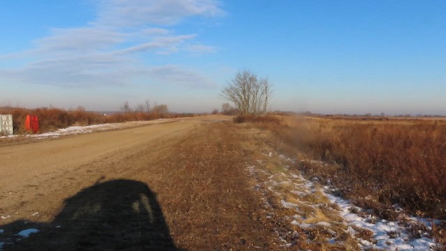 Тарлан сар - ML657896734