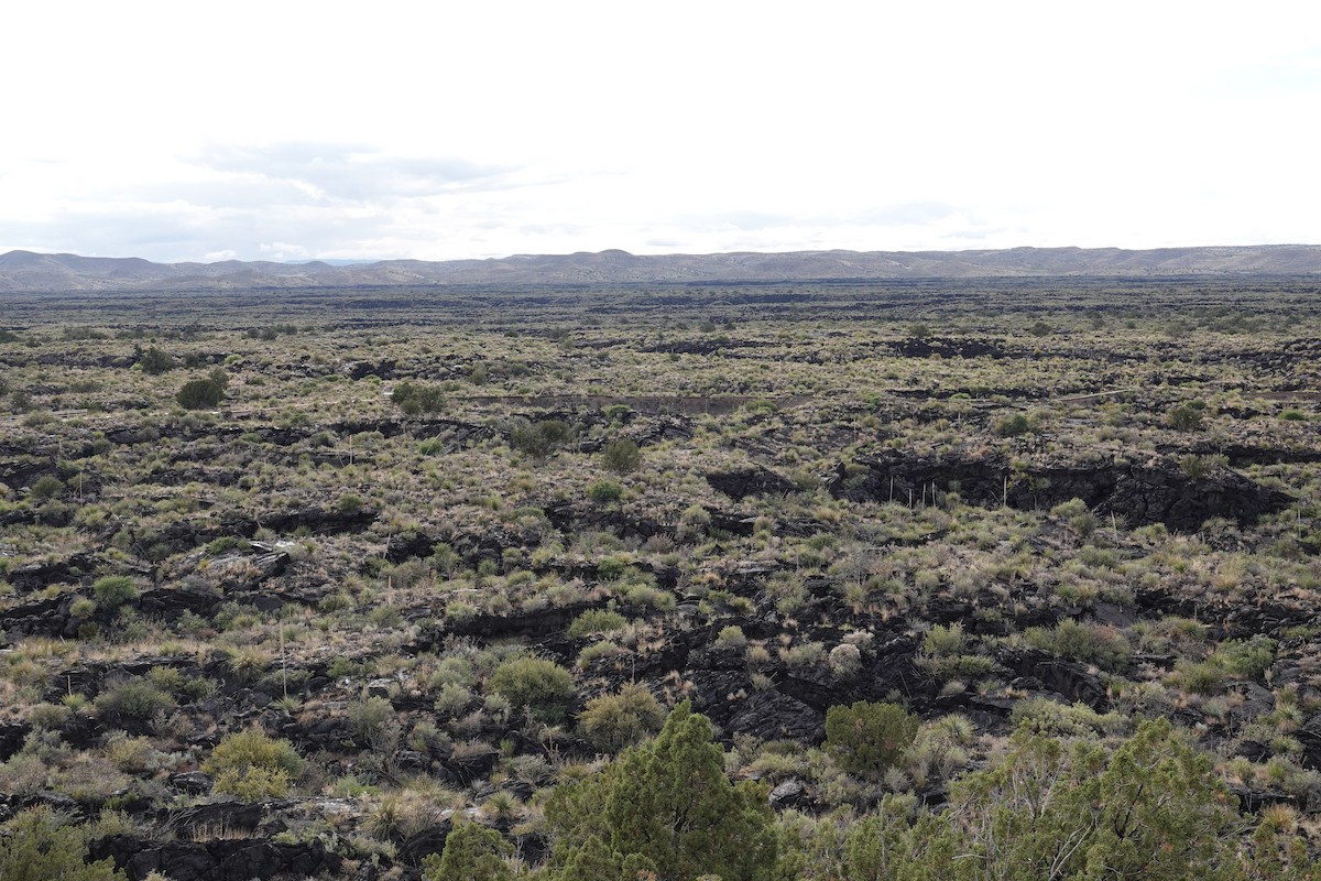 null - ML657899634
