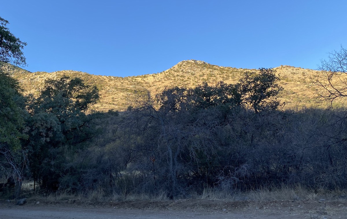 null - ML657907548