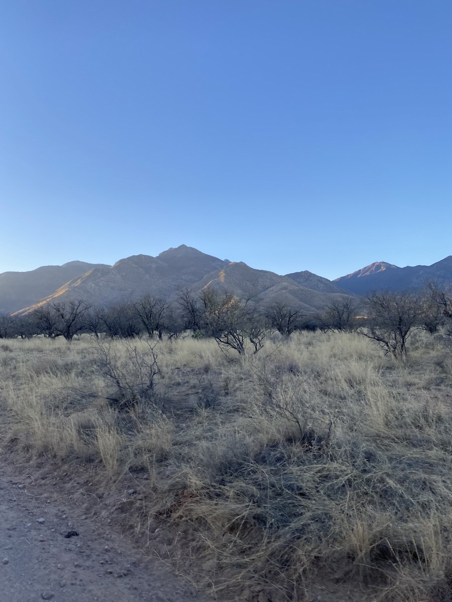 null - ML657907549