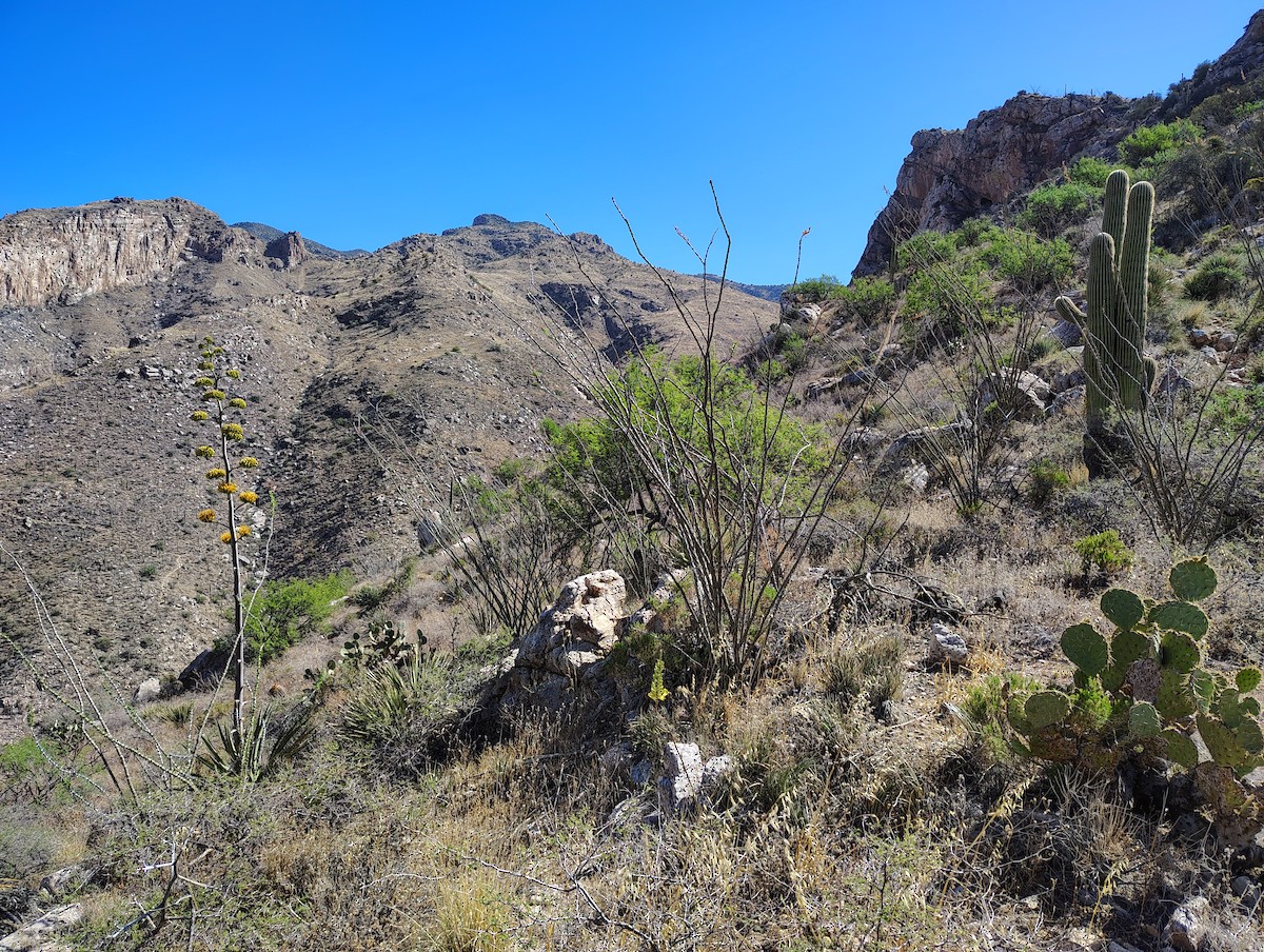 null - ML657907927