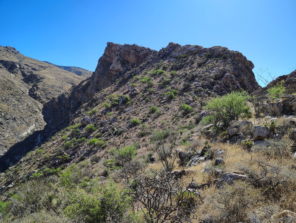 null - ML657907958