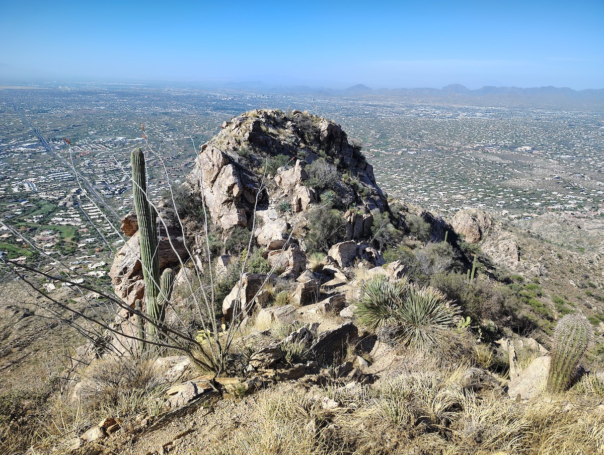 null - ML657908683