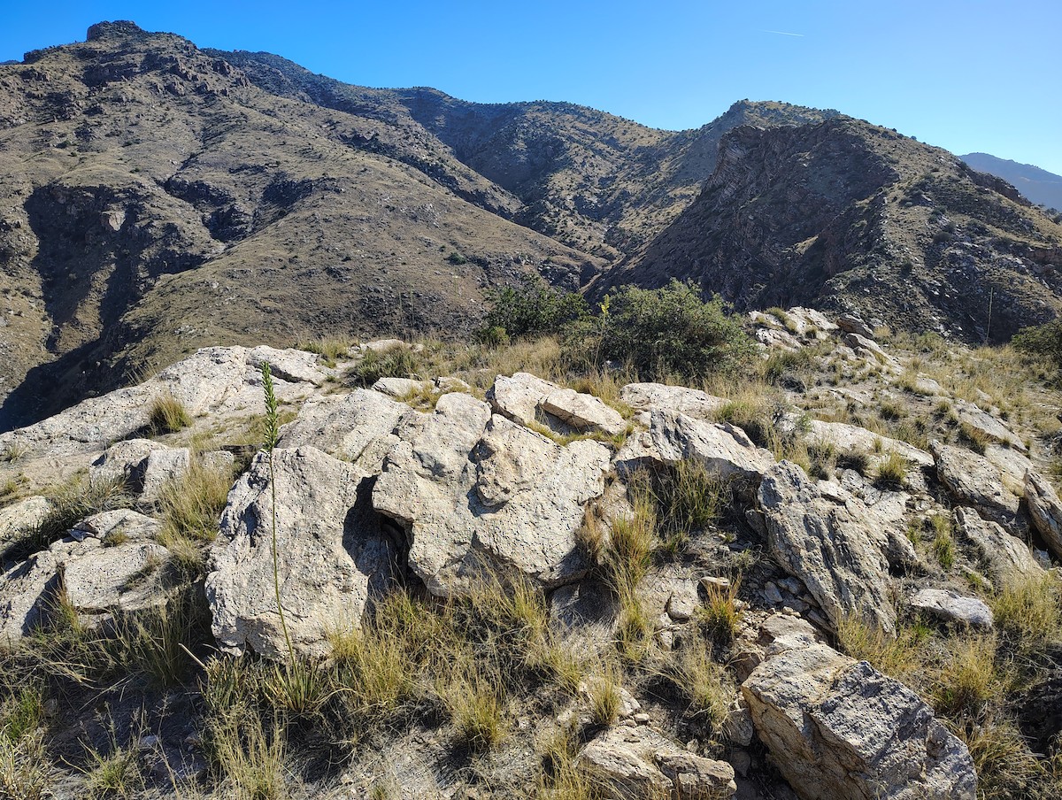 null - ML657909105