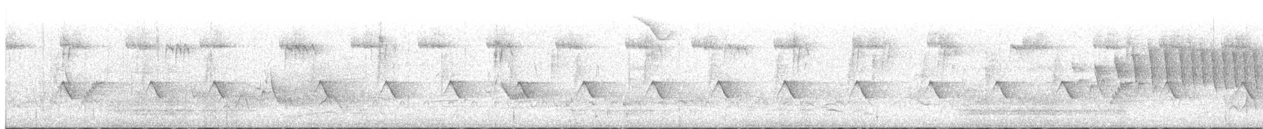 Vireo de Hutton - ML657915396