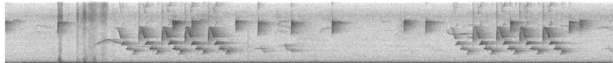 チャバラマユミソサザイ - ML657921868