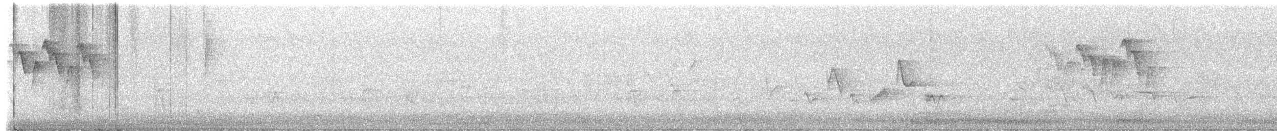 Eastern/Western Warbling Vireo - ML657922617