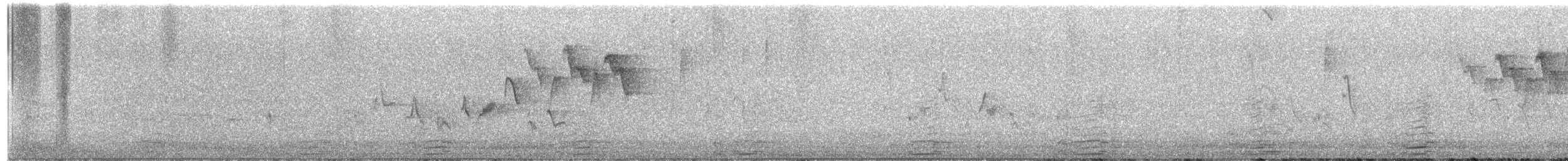Eastern/Western Warbling Vireo - ML657922643