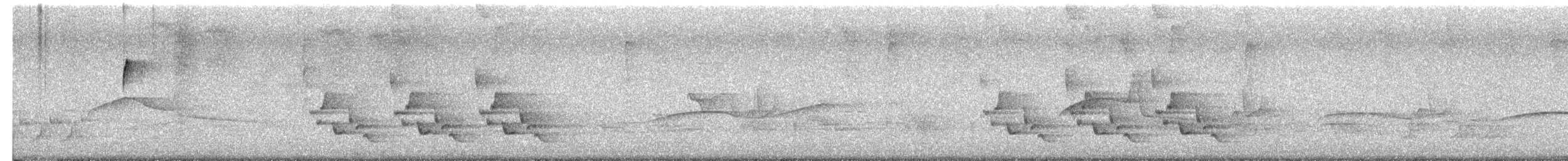 チャバラマユミソサザイ - ML657922699