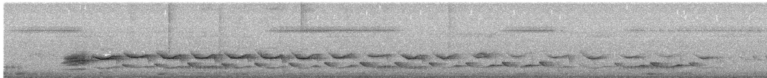 ヒメウロコオニキバシリ - ML657922700