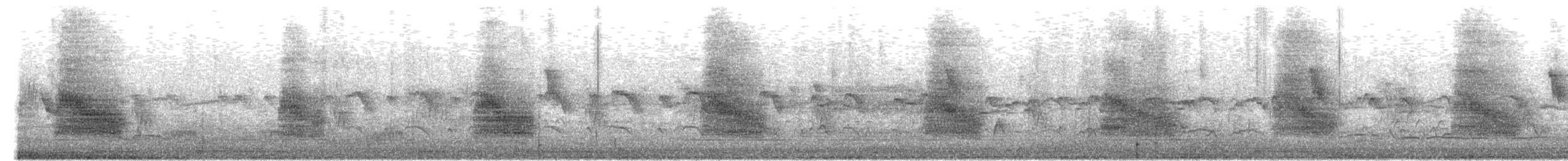 stær - ML657945226