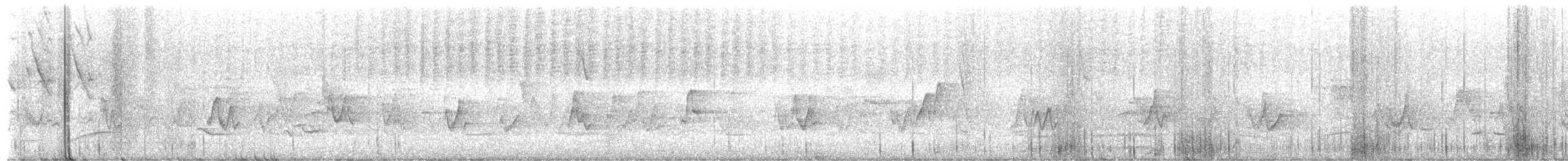 ムジミソサザイ - ML657945266