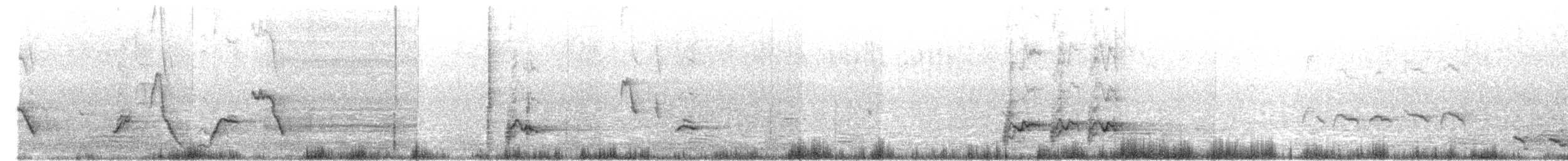 Gray Shrikethrush (Brown-backed) - ML657954500