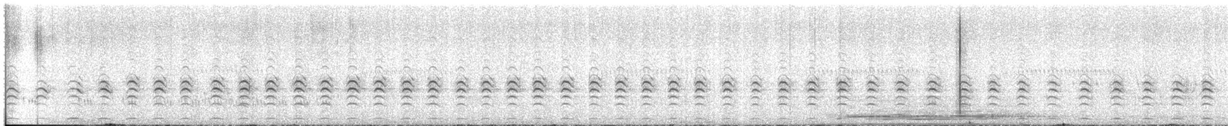 Striped Flufftail - ML657955969