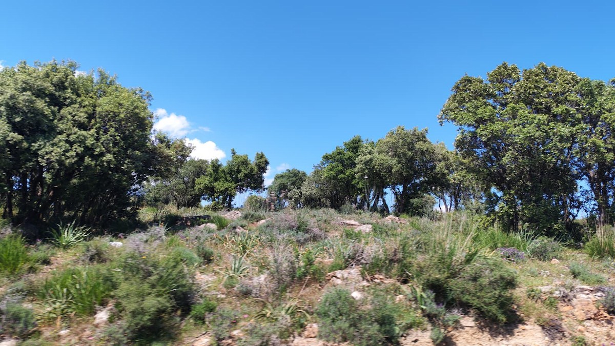 null - ML657957944