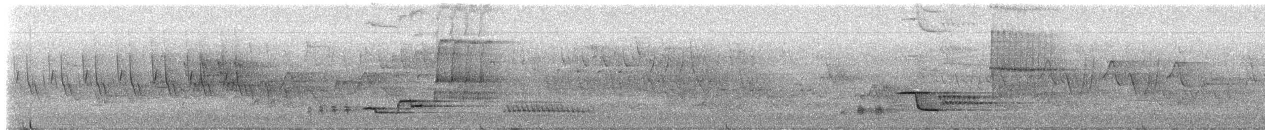Wood Thrush - ML657959943
