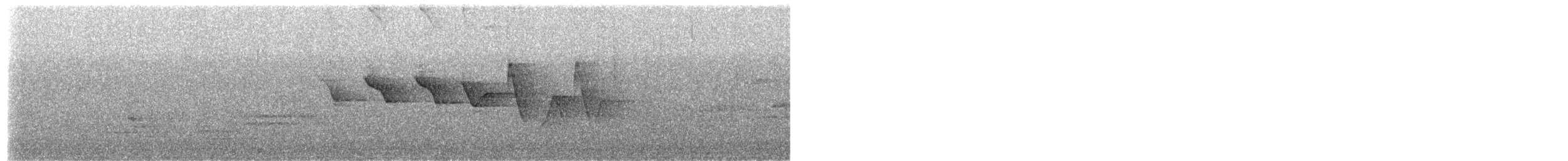 Louisiana Waterthrush - ML657959952
