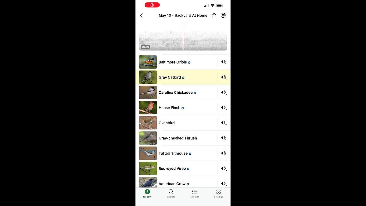 eBird Checklist - 10 May 2026 - Slates Residence - 41 species