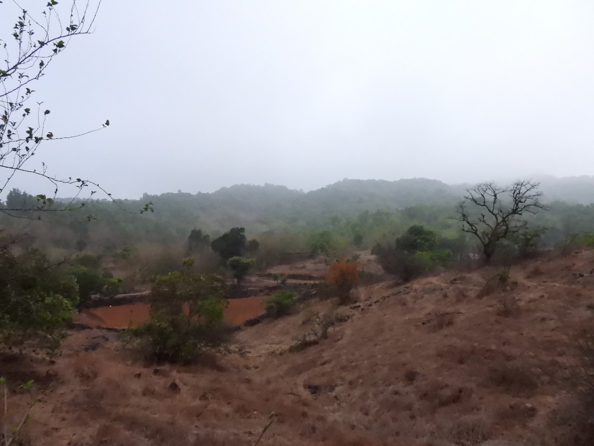 null - ML657969683
